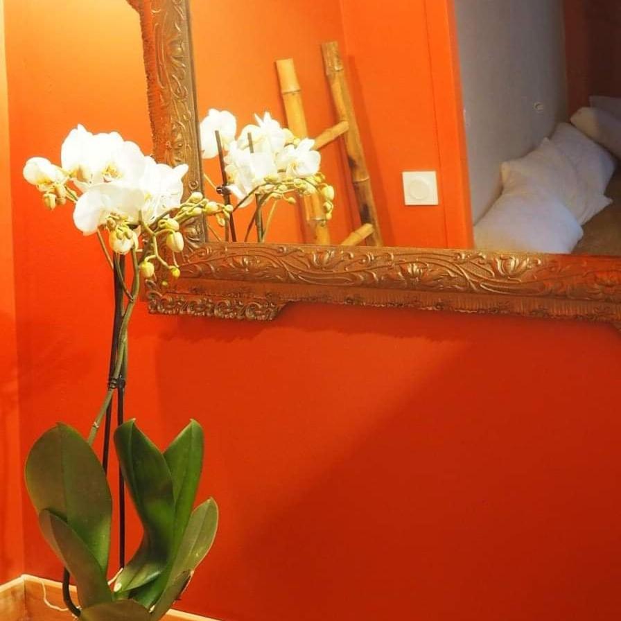 Bed and Breakfast La Terrasse Vigneronne Fitou Zewnętrze zdjęcie